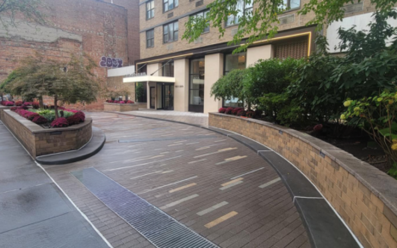 Untitled design (43)